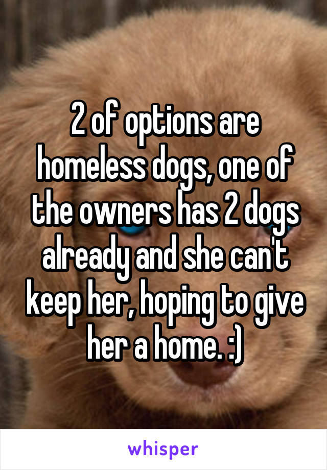 2 of options are homeless dogs, one of the owners has 2 dogs already and she can't keep her, hoping to give her a home. :)