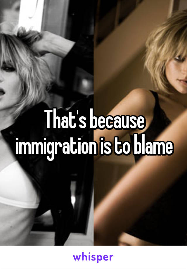 That's because immigration is to blame