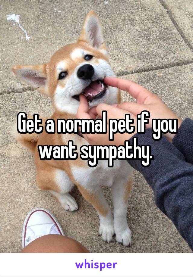 Get a normal pet if you want sympathy. 