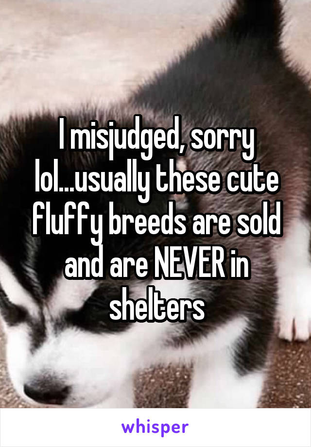 I misjudged, sorry lol...usually these cute fluffy breeds are sold and are NEVER in shelters