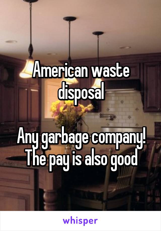 American waste disposal

Any garbage company! The pay is also good