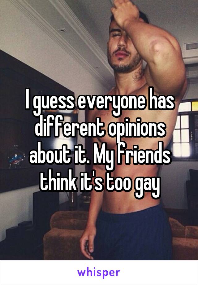 I guess everyone has different opinions about it. My friends think it's too gay