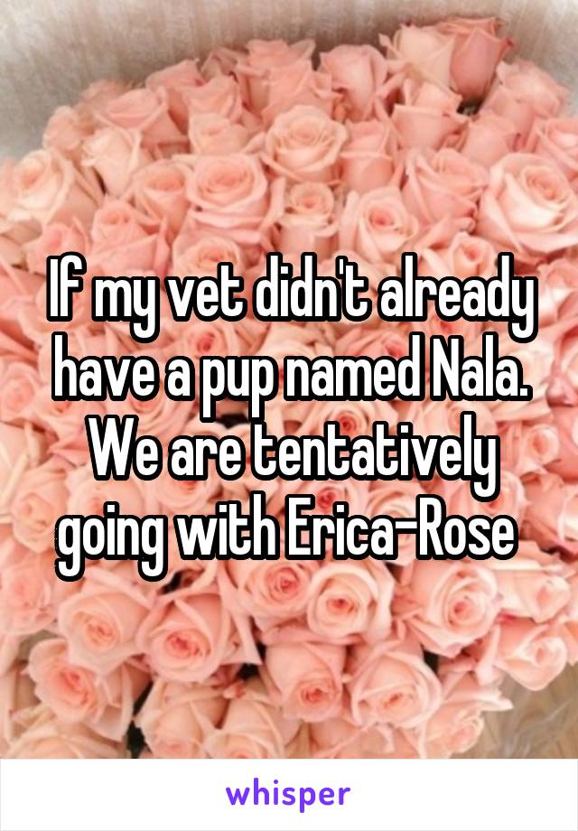 If my vet didn't already have a pup named Nala. We are tentatively going with Erica-Rose 