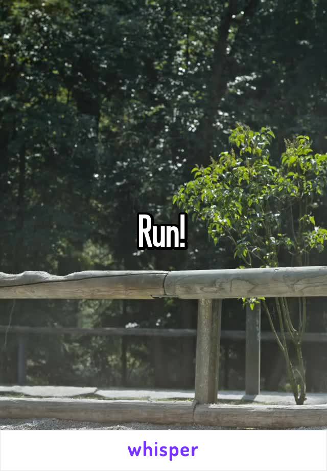 Run! 