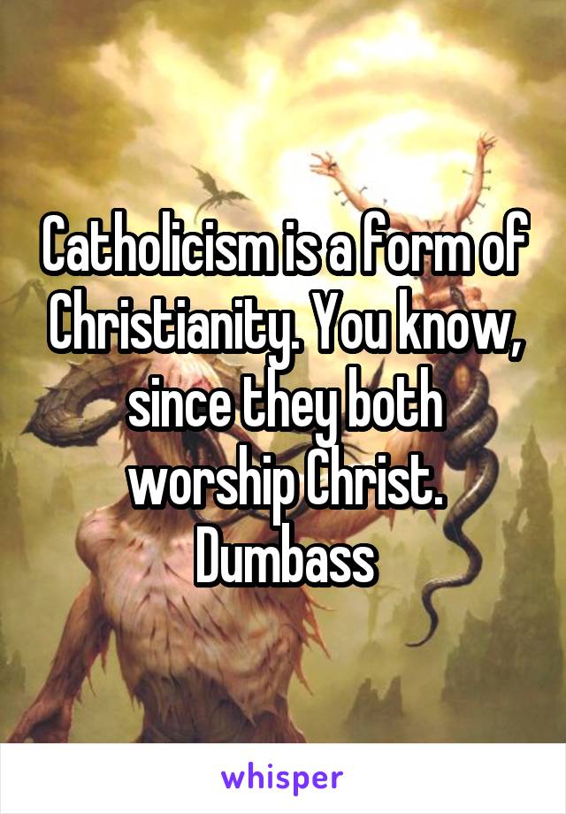 Catholicism is a form of Christianity. You know, since they both worship Christ. Dumbass