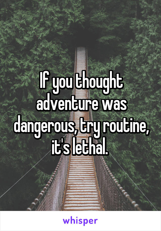 If you thought adventure was dangerous, try routine, it's lethal. 