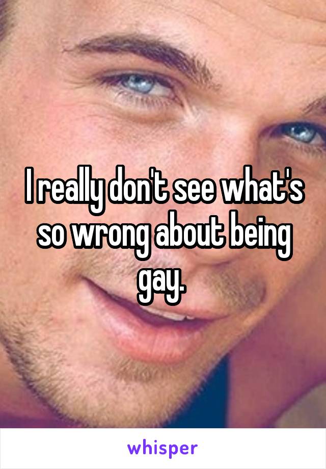 I really don't see what's so wrong about being gay. 