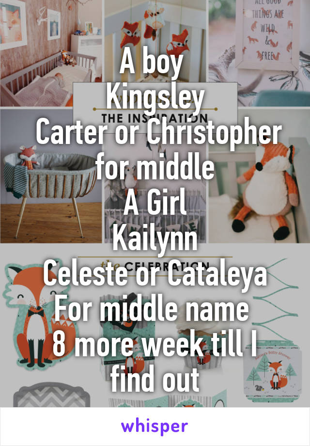 A boy 
Kingsley
 Carter or Christopher for middle
A Girl
Kailynn
 Celeste or Cataleya 
For middle name 
8 more week till I find out