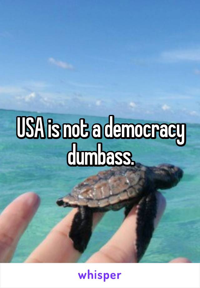 USA is not a democracy dumbass.