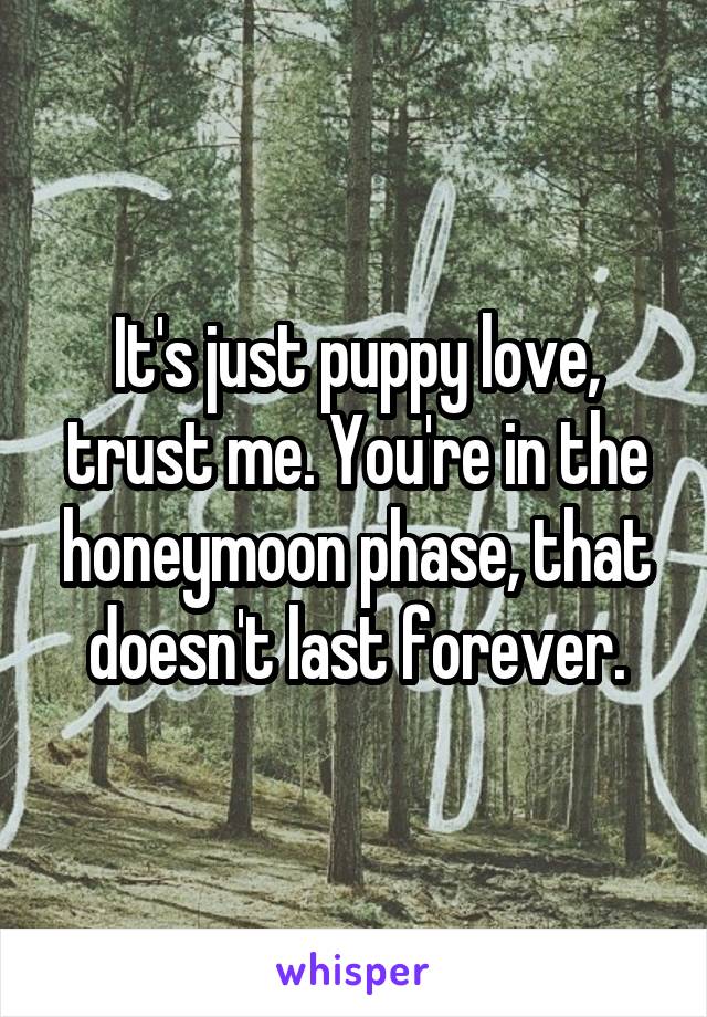 It's just puppy love, trust me. You're in the honeymoon phase, that doesn't last forever.