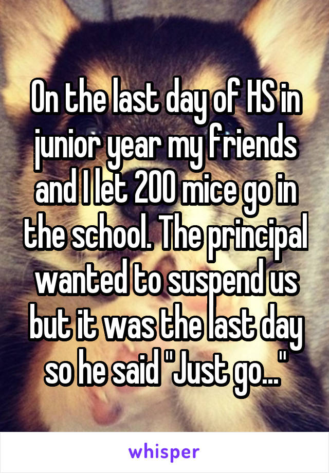 On the last day of HS in junior year my friends and I let 200 mice go in the school. The principal wanted to suspend us but it was the last day so he said "Just go..."