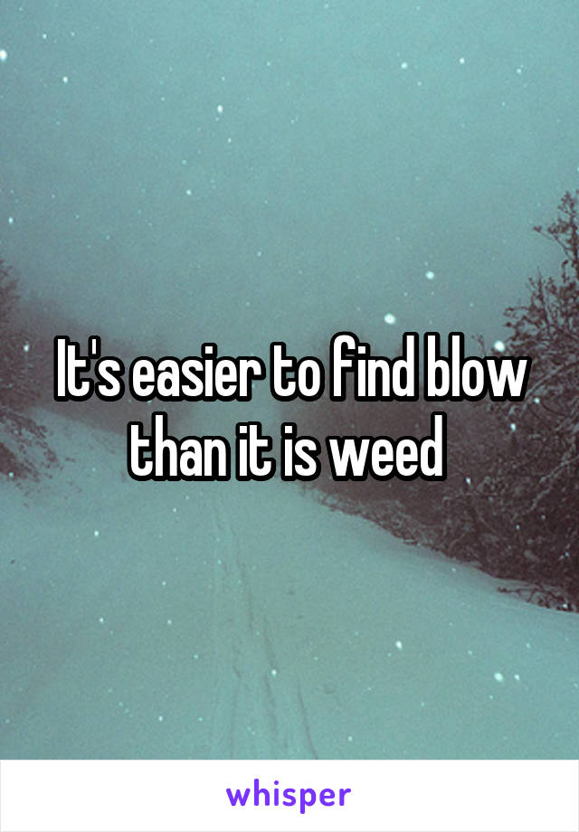  It's easier to find blow than it is weed 