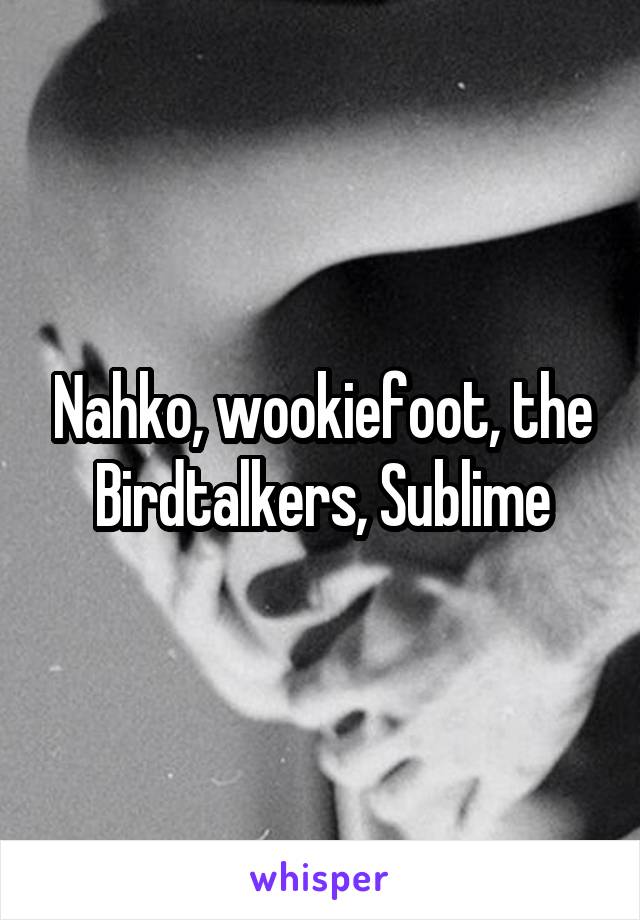Nahko, wookiefoot, the Birdtalkers, Sublime