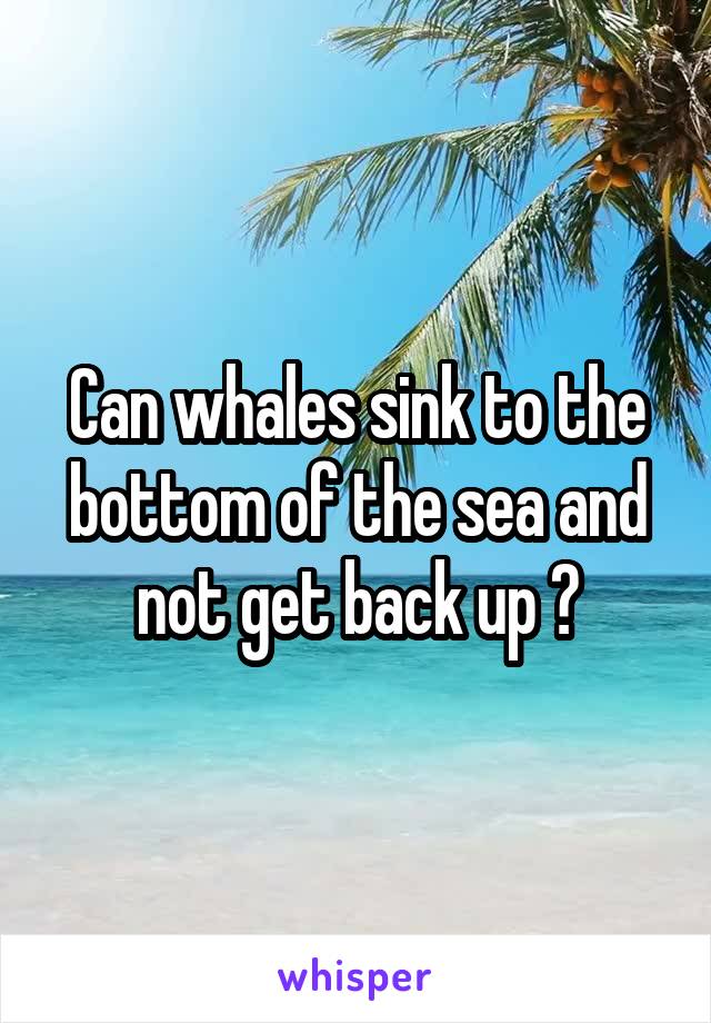 Can whales sink to the bottom of the sea and not get back up ?