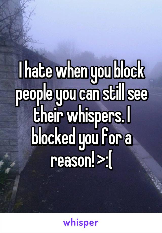 I hate when you block people you can still see their whispers. I blocked you for a reason! >:(