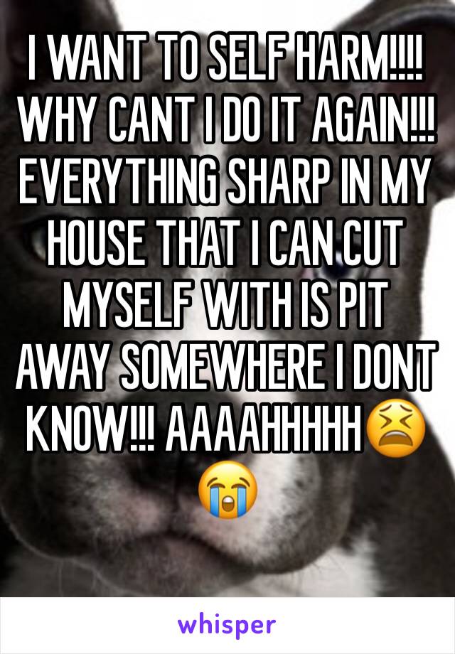 I WANT TO SELF HARM!!!! WHY CANT I DO IT AGAIN!!! EVERYTHING SHARP IN MY HOUSE THAT I CAN CUT MYSELF WITH IS PIT AWAY SOMEWHERE I DONT KNOW!!! AAAAHHHHH😫😭