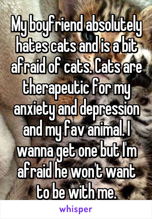 My boyfriend absolutely hates cats and is a bit afraid of cats. Cats are therapeutic for my anxiety and depression and my fav animal. I wanna get one but I'm afraid he won't want to be with me.