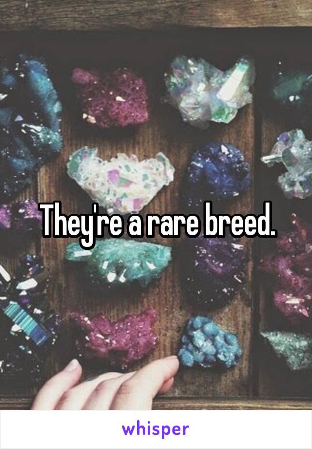 They're a rare breed.