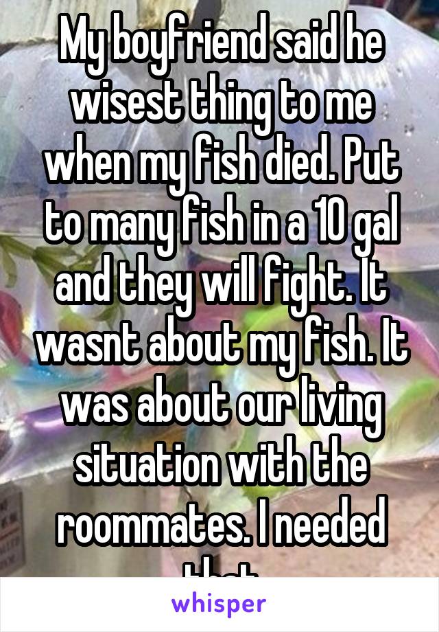 My boyfriend said he wisest thing to me when my fish died. Put to many fish in a 10 gal and they will fight. It wasnt about my fish. It was about our living situation with the roommates. I needed that