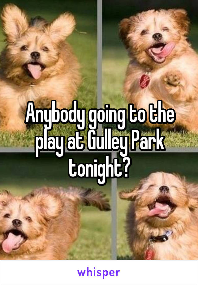 Anybody going to the play at Gulley Park tonight?