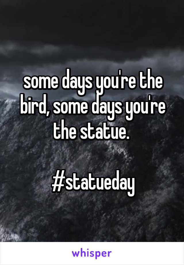 some days you're the bird, some days you're the statue. 

#statueday