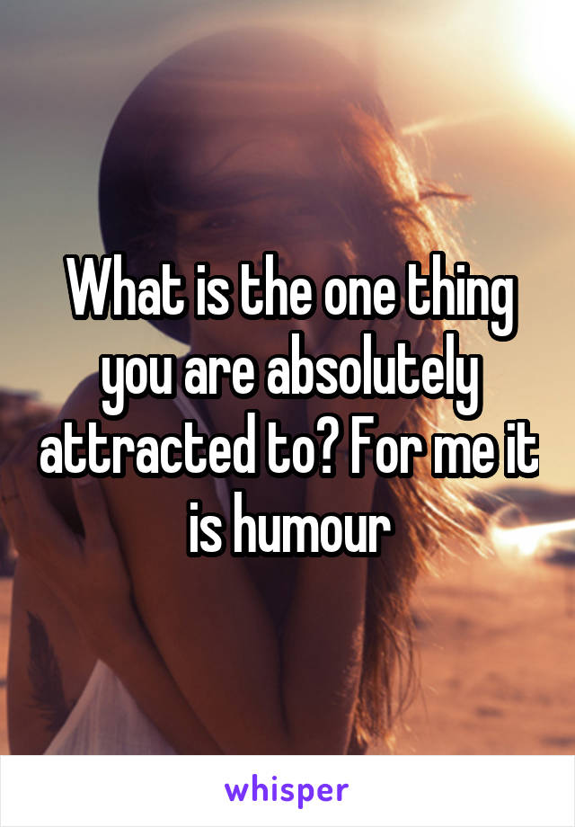 What is the one thing you are absolutely attracted to? For me it is humour