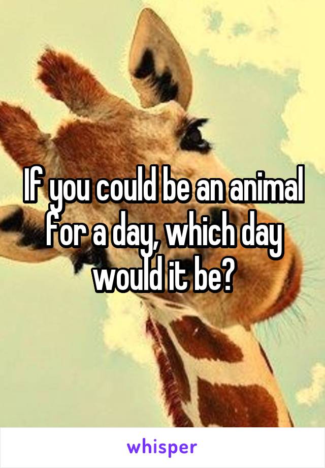 If you could be an animal for a day, which day would it be?