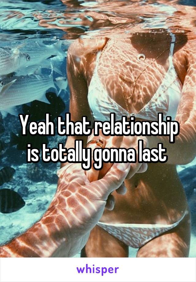 Yeah that relationship is totally gonna last 