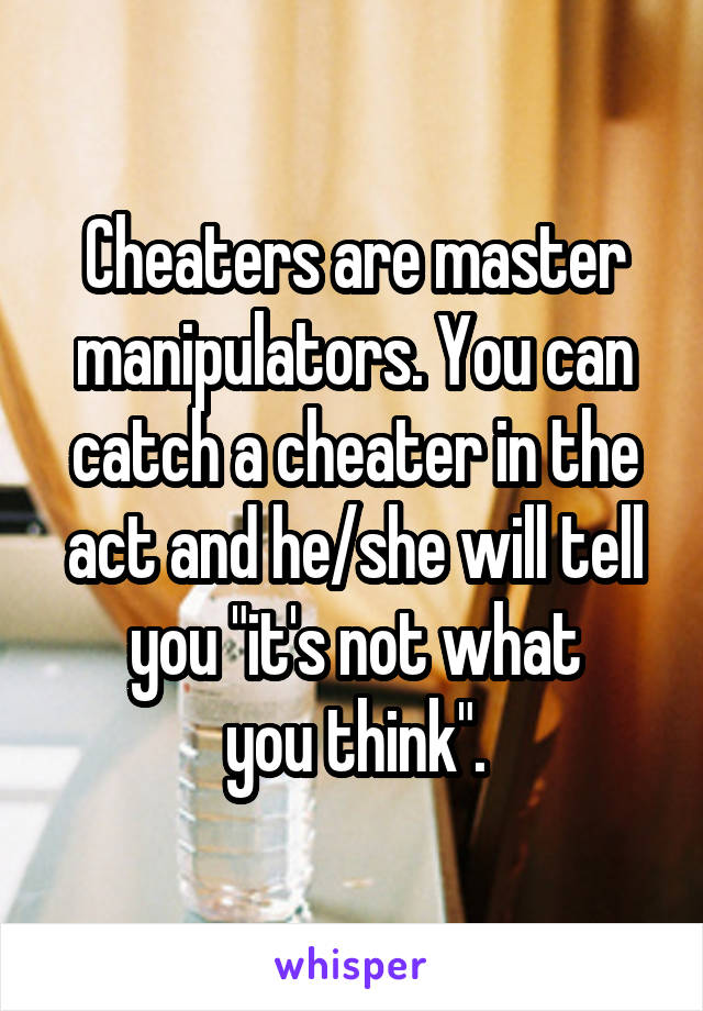 Cheaters are master manipulators. You can catch a cheater in the act and he/she will tell you "it's not what
you think".