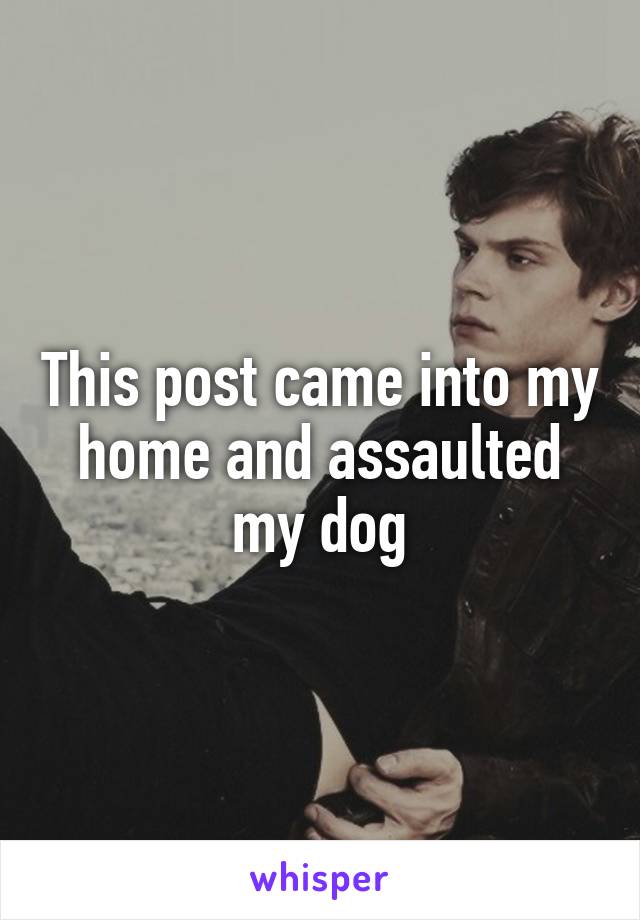 This post came into my home and assaulted my dog