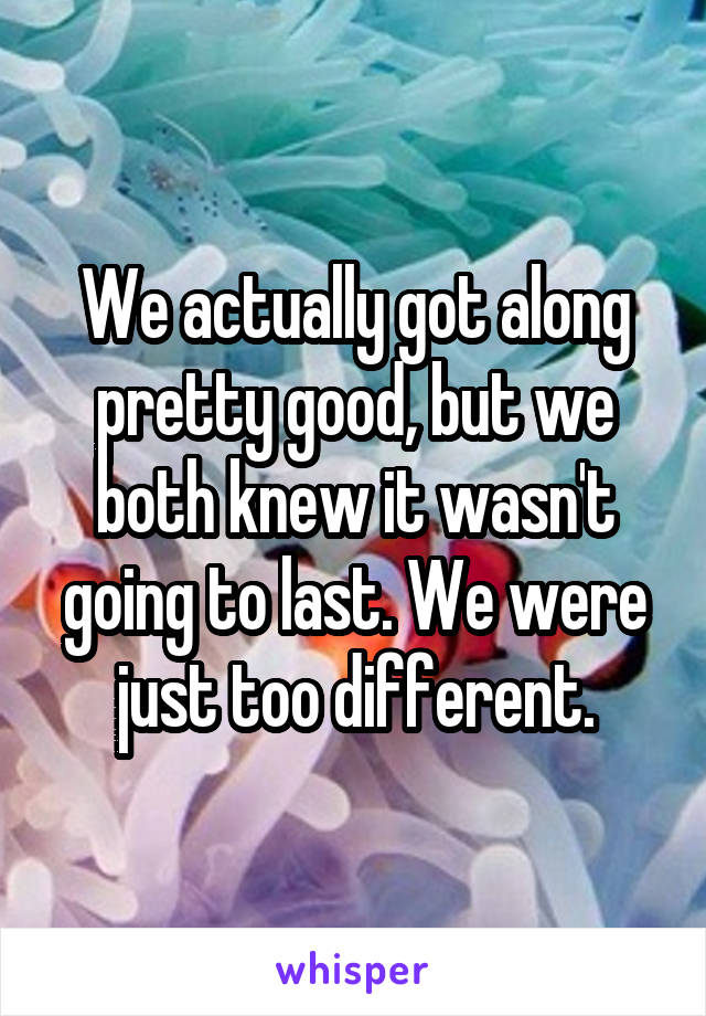 We actually got along pretty good, but we both knew it wasn't going to last. We were just too different.