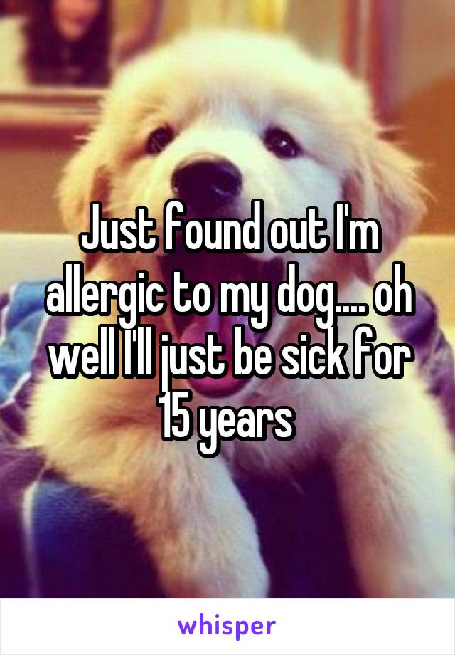 Just found out I'm allergic to my dog.... oh well I'll just be sick for 15 years 