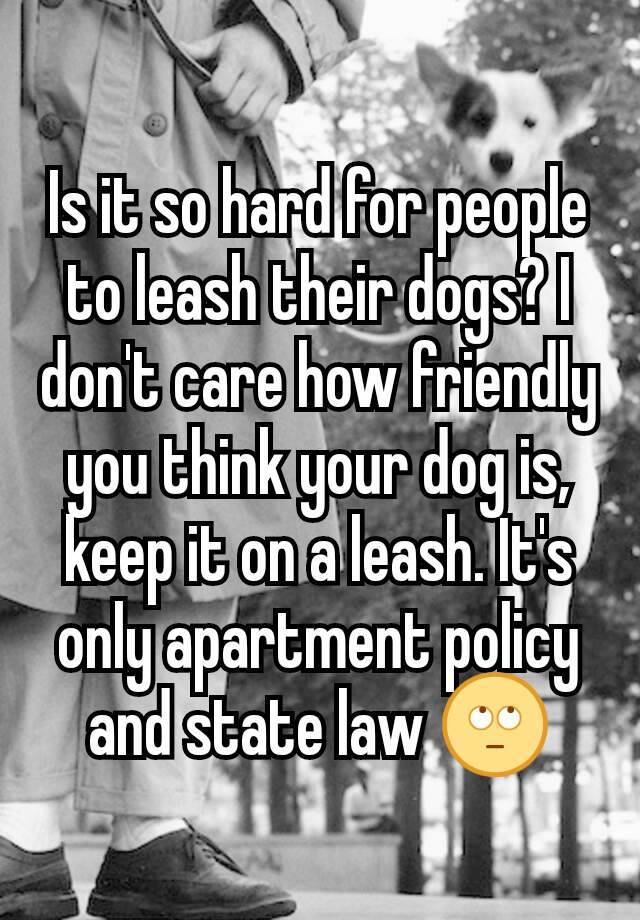 Is it so hard for people to leash their dogs? I don't care how friendly you think your dog is, keep it on a leash. It's only apartment policy and state law 🙄