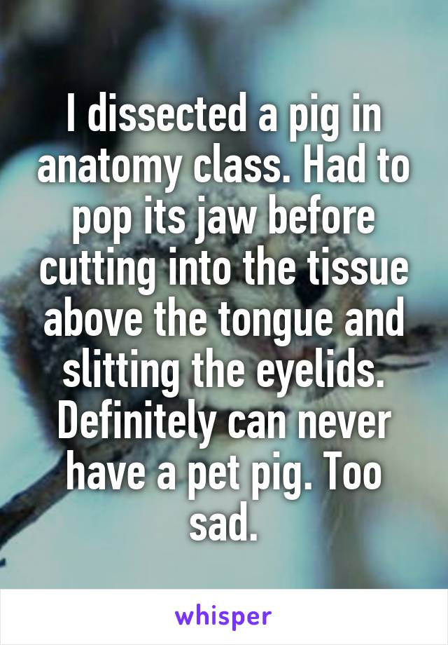I dissected a pig in anatomy class. Had to pop its jaw before cutting into the tissue above the tongue and slitting the eyelids. Definitely can never have a pet pig. Too sad.