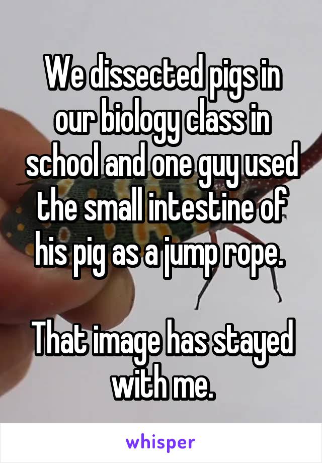 We dissected pigs in our biology class in school and one guy used the small intestine of his pig as a jump rope. 

That image has stayed with me.
