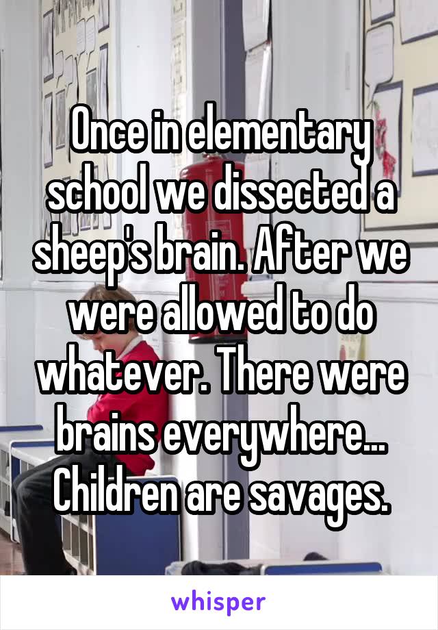 Once in elementary school we dissected a sheep's brain. After we were allowed to do whatever. There were brains everywhere...
Children are savages.