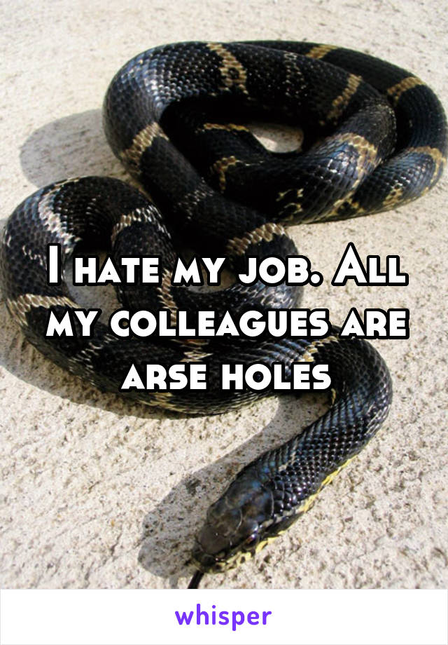 I hate my job. All my colleagues are arse holes