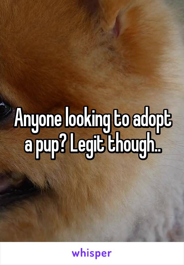 Anyone looking to adopt a pup? Legit though..