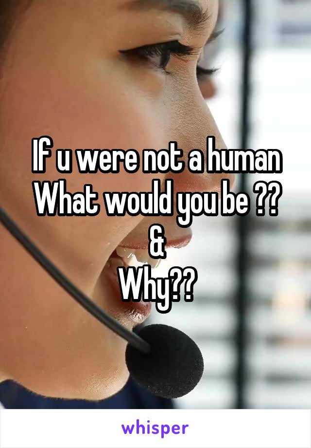 If u were not a human
What would you be ??
&
Why??