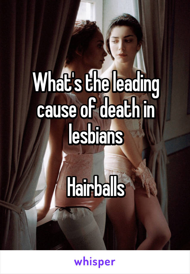 What's the leading cause of death in lesbians

Hairballs