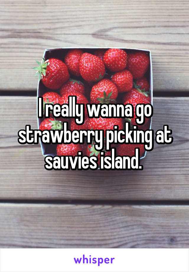 I really wanna go strawberry picking at sauvies island. 