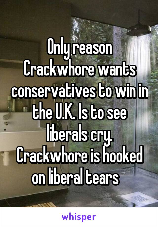 Only reason Crackwhore wants conservatives to win in the U.K. Is to see liberals cry. Crackwhore is hooked on liberal tears   