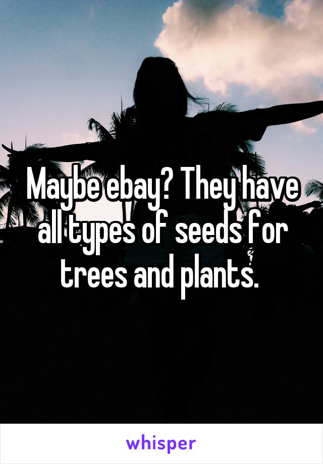 Maybe ebay? They have all types of seeds for trees and plants. 