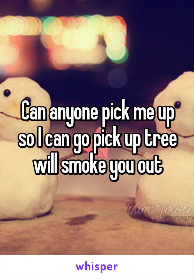 Can anyone pick me up so I can go pick up tree will smoke you out