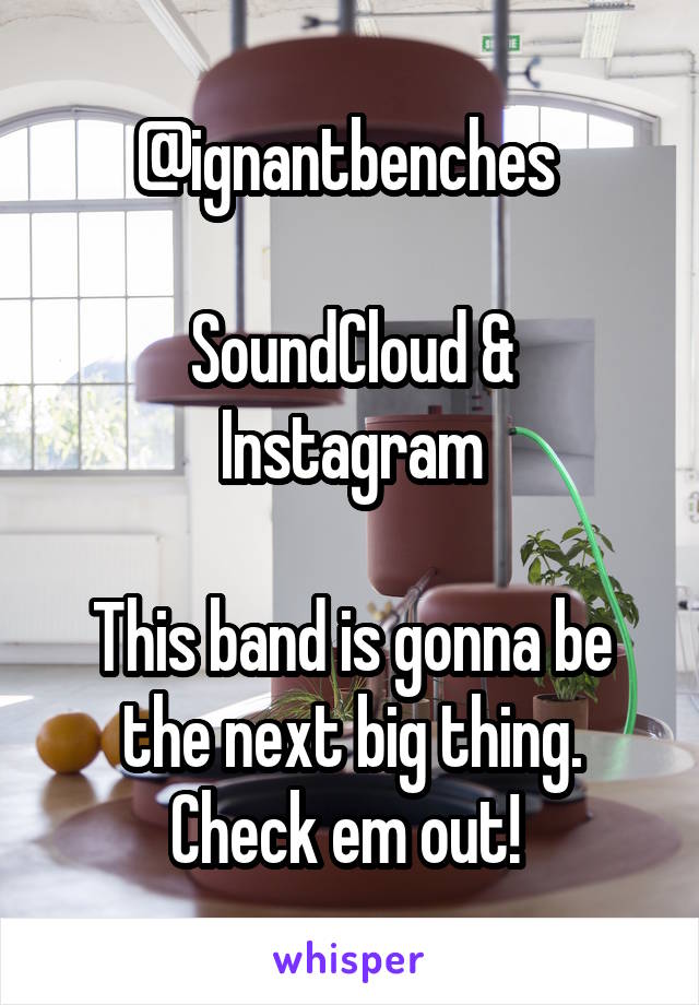 @ignantbenches 

SoundCloud & Instagram

This band is gonna be the next big thing. Check em out! 