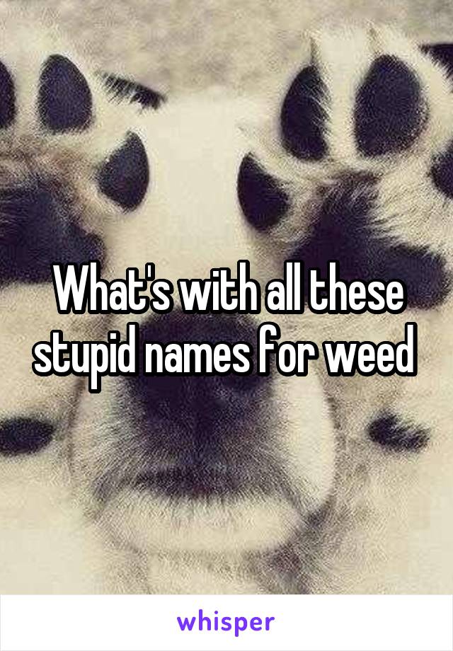 What's with all these stupid names for weed 