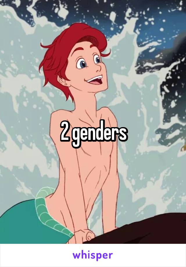 2 genders