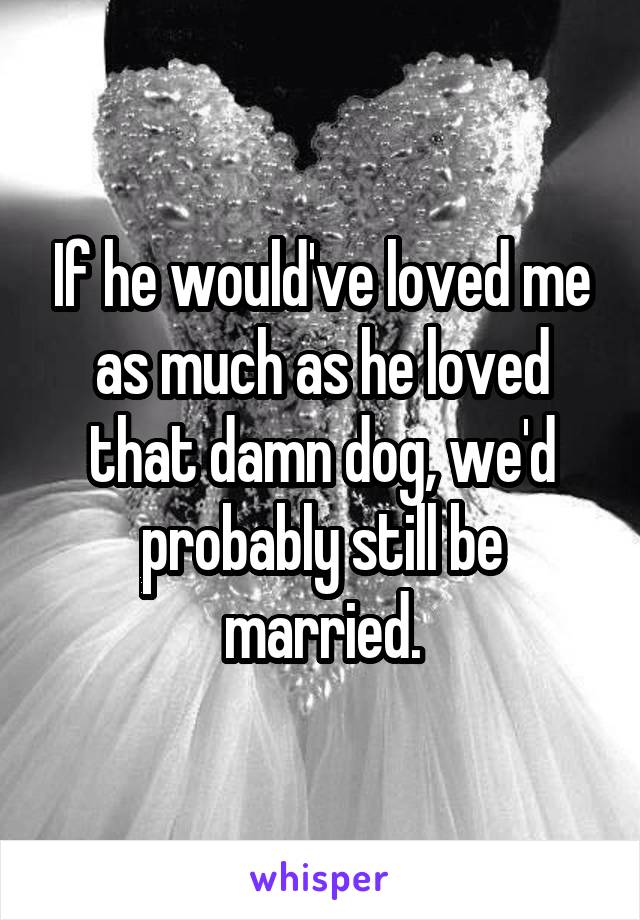 If he would've loved me as much as he loved that damn dog, we'd probably still be married.