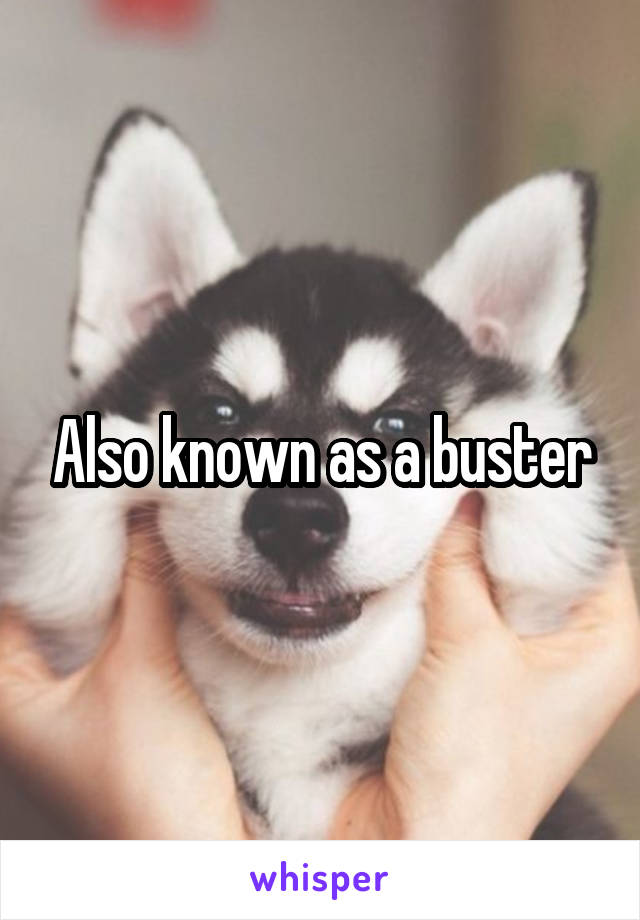 Also known as a buster