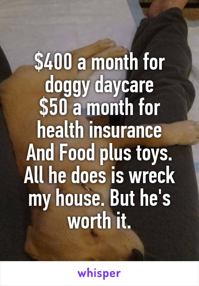 $400 a month for doggy daycare
$50 a month for health insurance
And Food plus toys. All he does is wreck my house. But he's worth it.